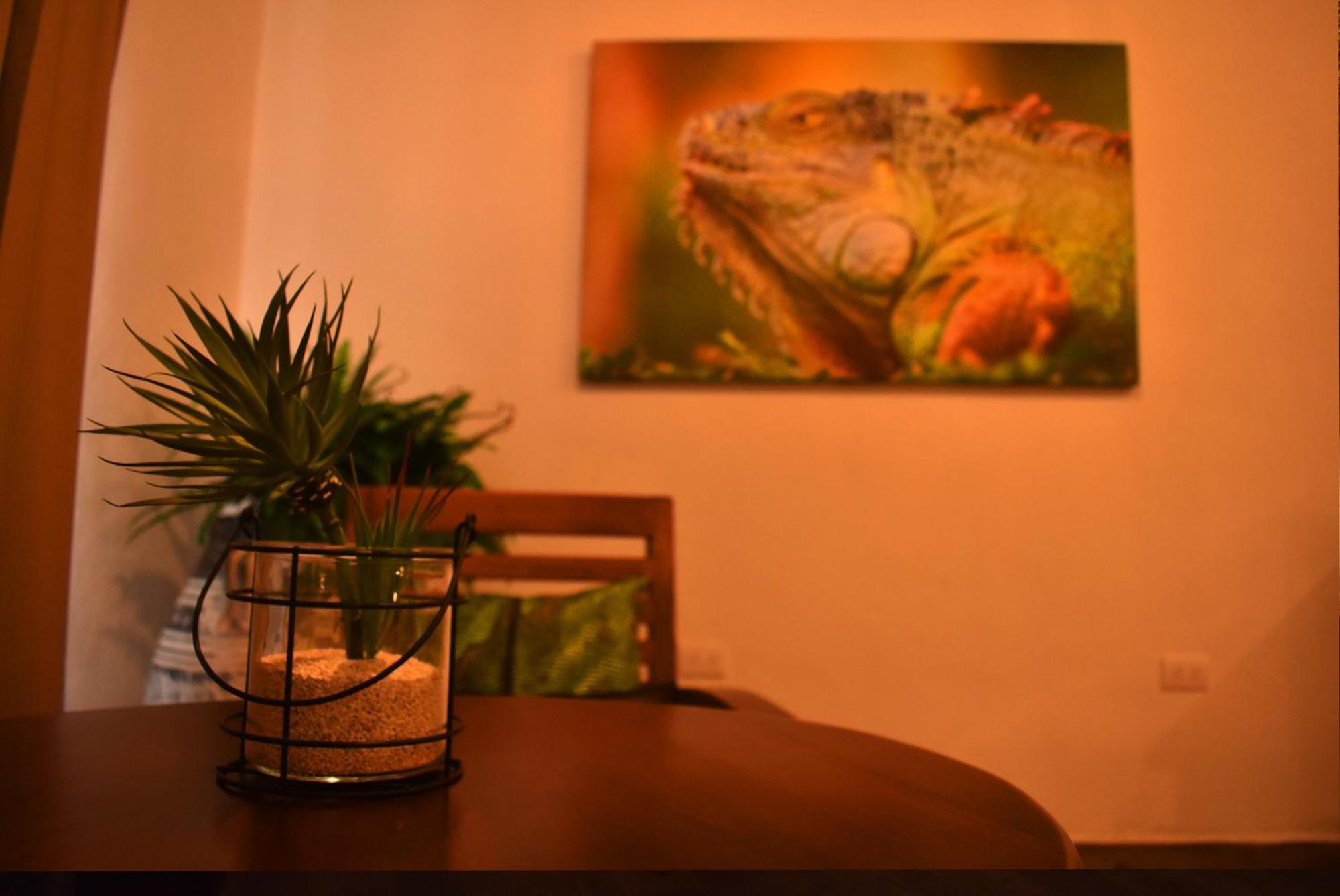 Villas Vallazoo Popola Dış mekan fotoğraf